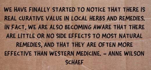 wellness company network marketing