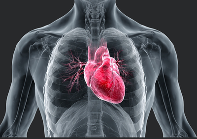 Improve Blood Circulation improve blood circulation