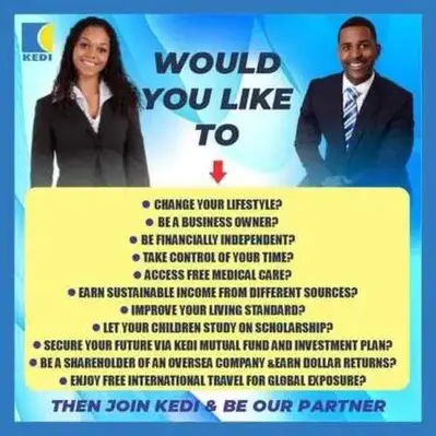 kedi new price list