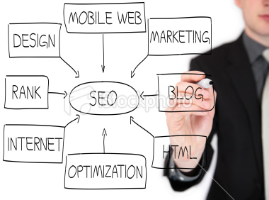 seo training and certification